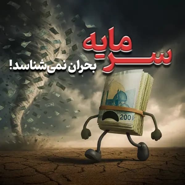 سرمایه بحران نمی شناسد شاخص2