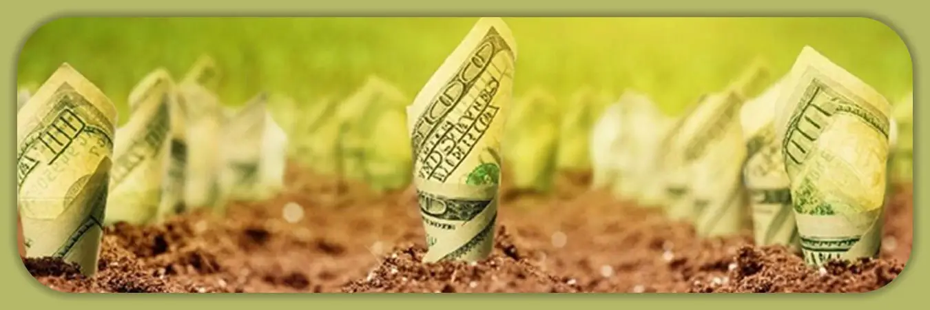 بهترین جا برای سرمایه گذاری زمین